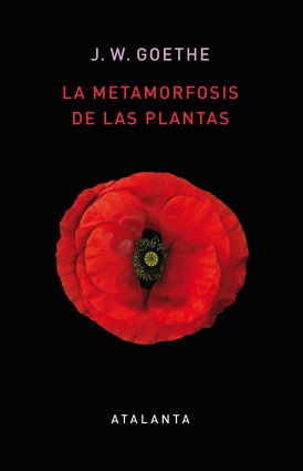 Portada-Metamorfosis-plantas